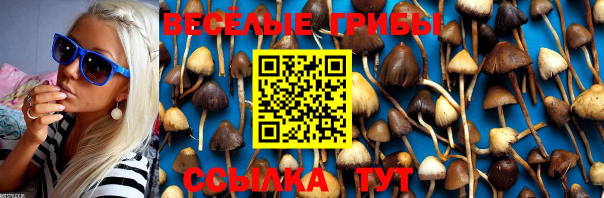 где купить наркотик  Галлюциногенные грибы Magic Shrooms  Нижний Новгород  Вход с VPN  Галлюциногенные грибы GOLDEN TEACHER 
